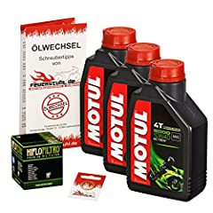 Motul 10w öl gebraucht kaufen  Wird an jeden Ort in Deutschland