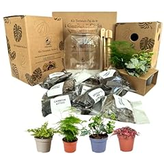 Kit terrarium fai usato  Spedito ovunque in Italia 