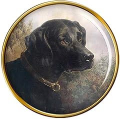 Hector black labrador for sale  Delivered anywhere in UK