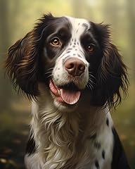 Skmn pet dog for sale  Delivered anywhere in USA 