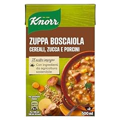 Knorr zuppa boscaiola usato  Spedito ovunque in Italia 