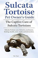 Sulcata tortoise pet d'occasion  Livré partout en Belgiqu