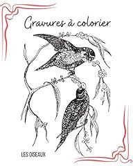 Gravures colorier oiseaux d'occasion  Livré partout en France