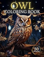 Enchanting owl coloring for sale  Delivered anywhere in UK