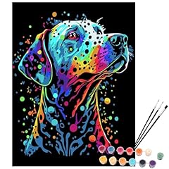Exerz kit pittura usato  Spedito ovunque in Italia 