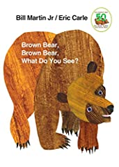 Brown bear brown usato  Spedito ovunque in Italia 