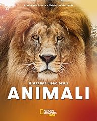 Grande libro degli usato  Spedito ovunque in Italia 