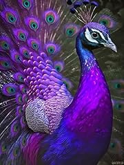 Diamond painting kits for sale  Delivered anywhere in USA 