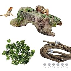 Pinvnby reptile hollow for sale  Delivered anywhere in USA 
