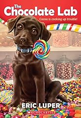 Chocolate lab for sale  Delivered anywhere in USA 
