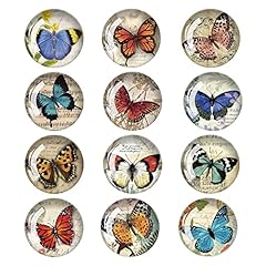 Funincrea pack butterfly for sale  Delivered anywhere in UK