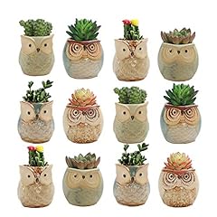 Weierken 12pcs owl for sale  Delivered anywhere in USA 
