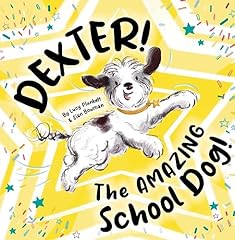 Dexter amazing school for sale  Delivered anywhere in UK