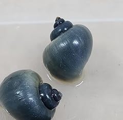 Rare blue mystery for sale  Delivered anywhere in UK
