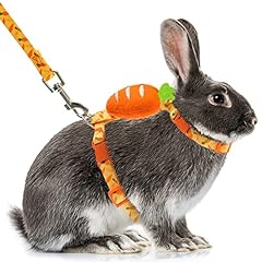 Orzechko rabbit harness for sale  Delivered anywhere in USA 