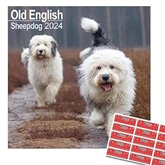 Old english sheepdog for sale  Delivered anywhere in UK