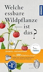 Essbare wildpflanze gebraucht kaufen  Wird an jeden Ort in Deutschland