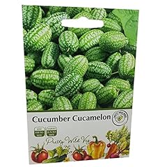 Cucumber cucamelon seeds for sale  Delivered anywhere in UK