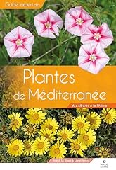 Plantes méditerranée albère d'occasion  Livré partout en France