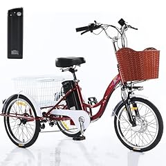Sunbgrpye tricycle électrique d'occasion  Livré partout en France