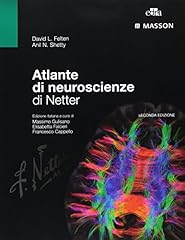 Atlante neuroscienze netter usato  Spedito ovunque in Italia 