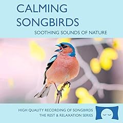 Calming songbirds nature for sale  Delivered anywhere in Ireland
