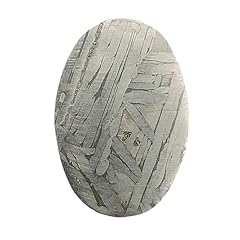 Muonionalusta meteorite natura for sale  Delivered anywhere in USA 