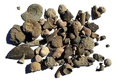 Bulk educational genuine for sale  Delivered anywhere in USA 
