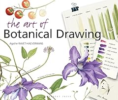 Art botanical drawing for sale  Delivered anywhere in UK