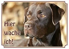 Hundeschild labrador retriever gebraucht kaufen  Wird an jeden Ort in Deutschland