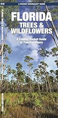Florida trees wildflowers for sale  Delivered anywhere in USA 
