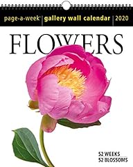 Flowers page week for sale  Delivered anywhere in USA 