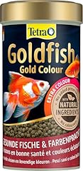 Tetra goldfish gold usato  Spedito ovunque in Italia 