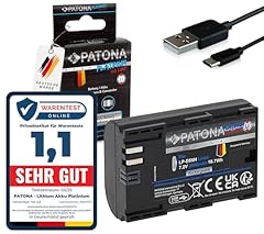 Patona platinum e6p usato  Spedito ovunque in Italia 