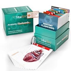 Tribern anatomy physiology for sale  Delivered anywhere in USA 