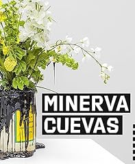 Minerva cuevas gebraucht kaufen  Wird an jeden Ort in Deutschland