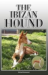 Ibizan hound complete for sale  Delivered anywhere in UK