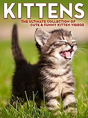 Kittens ultimate collection for sale  Delivered anywhere in UK