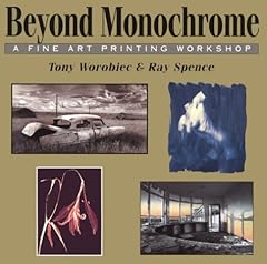 Beyond monochrome fine for sale  Delivered anywhere in USA 