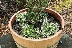 Oakenz oak barrel for sale  Delivered anywhere in USA 