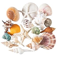 Alhroeuo large sea for sale  Delivered anywhere in USA 