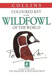 Coloured key wildfowl for sale  Delivered anywhere in UK