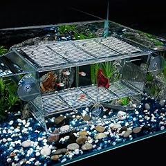 Pawfly large fish for sale  Delivered anywhere in UK