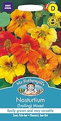 Fothergill 10195 flower for sale  Delivered anywhere in UK