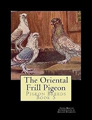 Oriental frill pigeon for sale  Delivered anywhere in USA 