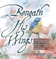 Beneath wings abiding for sale  Delivered anywhere in USA 