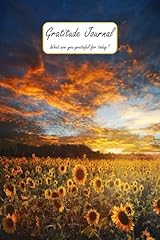 Gratitude journal grateful for sale  Delivered anywhere in USA 