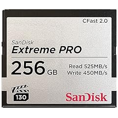 Sandisk 71931 256gb for sale  Delivered anywhere in USA 