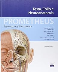 Prometheus. atlante anatomia. usato  Spedito ovunque in Italia 
