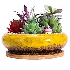 Artketty succulent pots for sale  Delivered anywhere in USA 